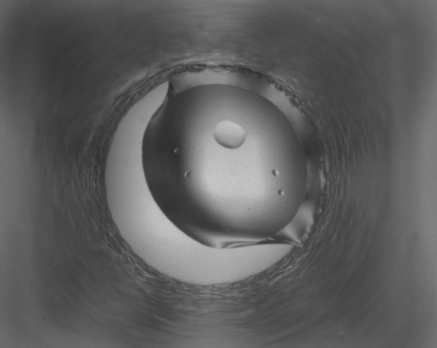 X0000082951398200702222301