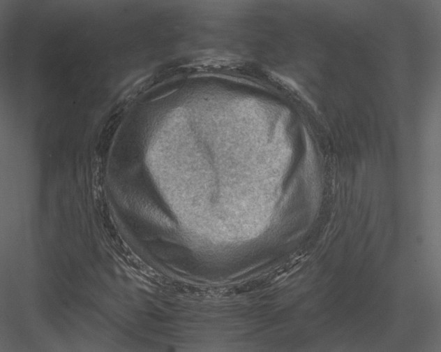 X0000082951399200702222301