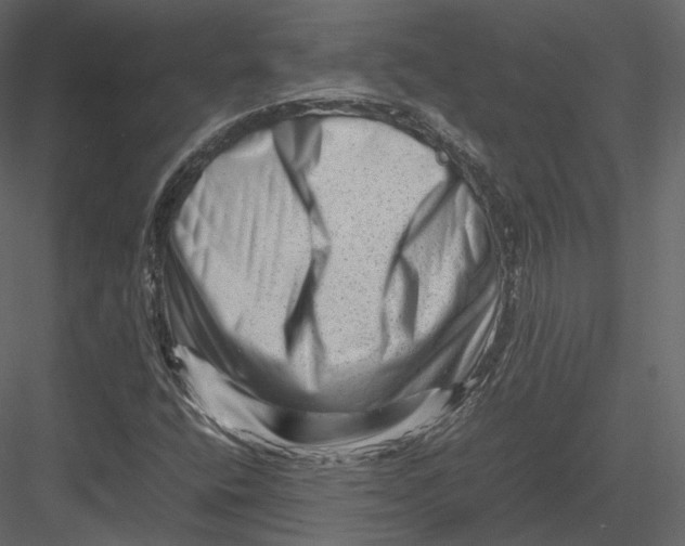 X0000082951400200702222301