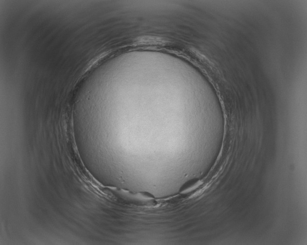 X0000082951401200702222301