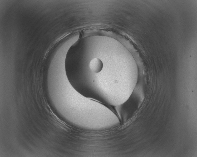 X0000082951402200702222301