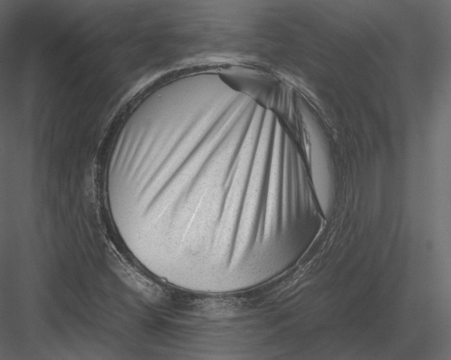 X0000082951404200702222301