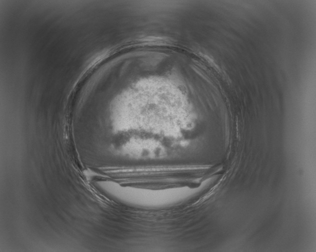 X0000082951405200702222301