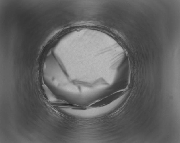 X0000082951406200702222301