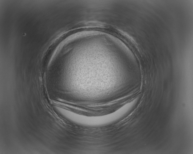 X0000082951407200702222301