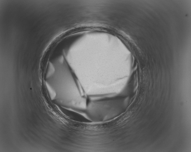 X0000082951408200702222301