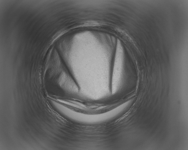 X0000082951409200702222301