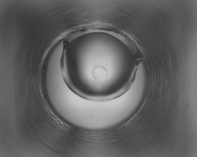 X0000082951410200702222301