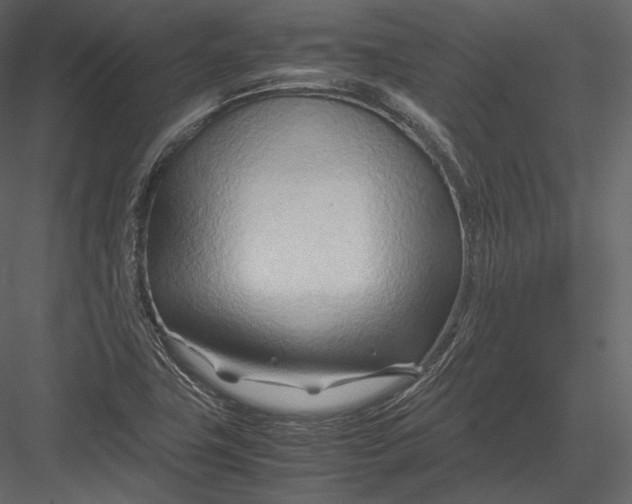 X0000082951411200702222301