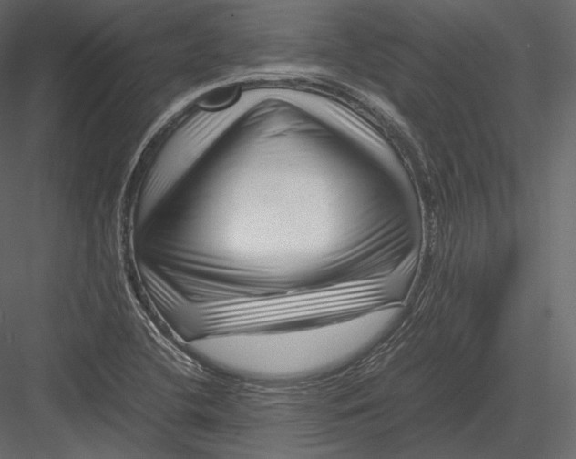 X0000082951412200702222301