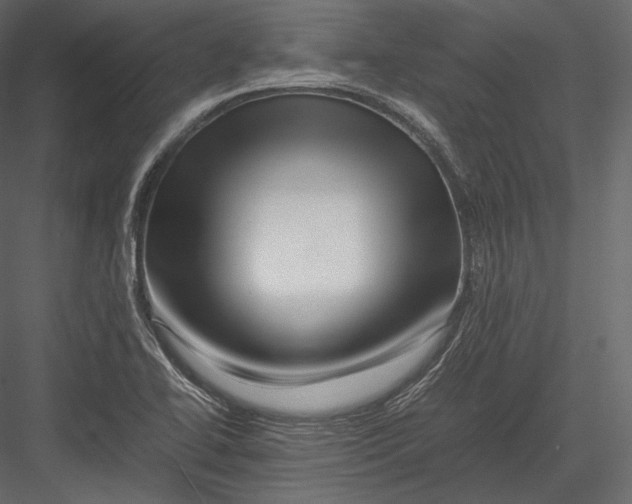 X0000082951414200702222301