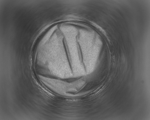 X0000082951415200702222301