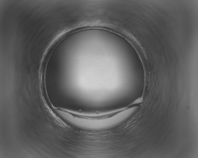 X0000082951416200702222301