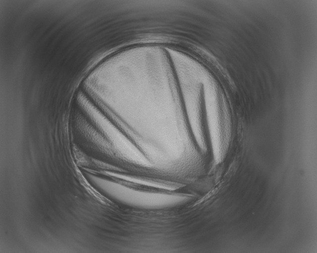 X0000082951417200702222301