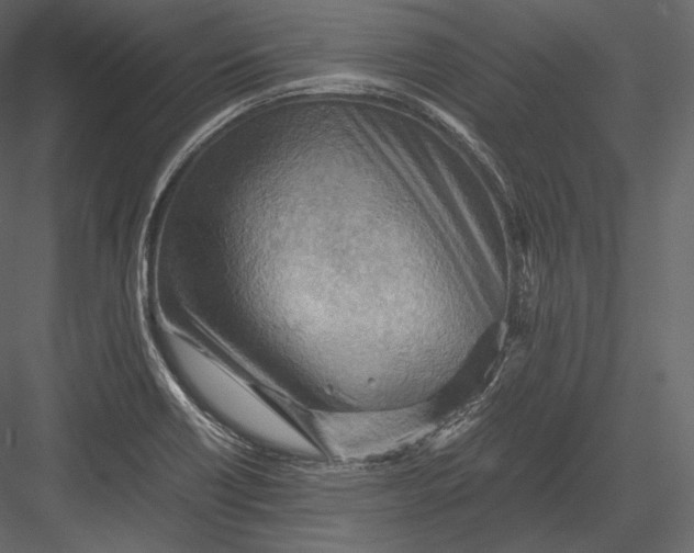 X0000082951418200702222301