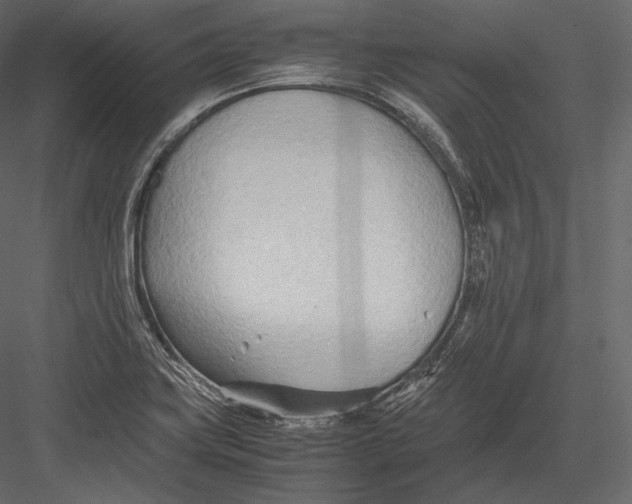 X0000082951419200702222301