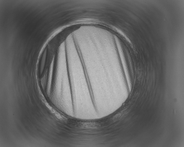 X0000082951421200702222301