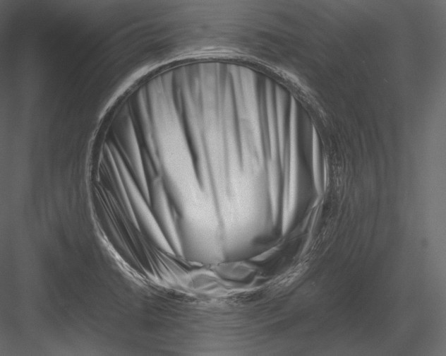 X0000082951422200702222301