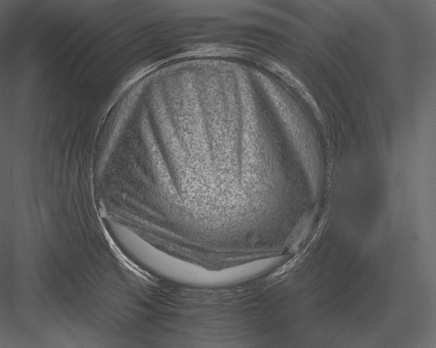 X0000082951425200702222301