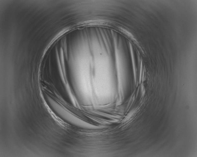 X0000082951426200702222301