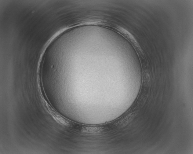 X0000082951427200702222301