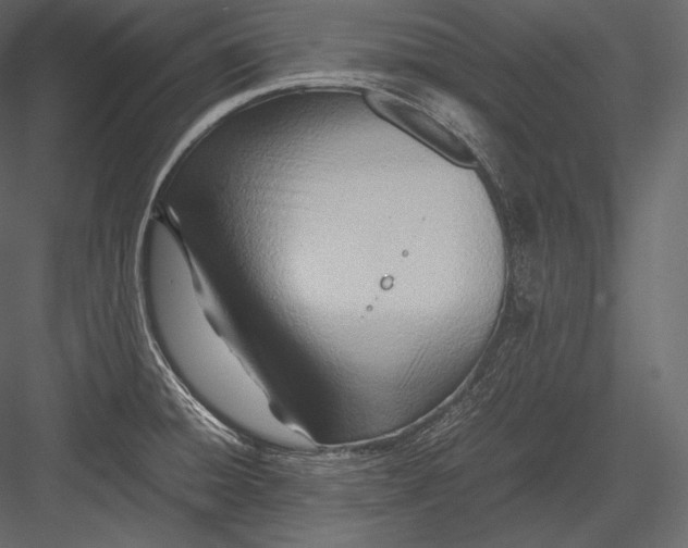 X0000082951428200702222301