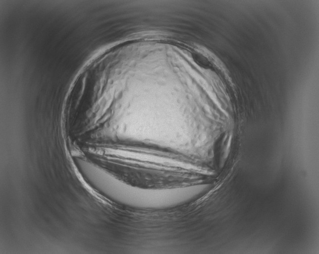 X0000082951429200702222301