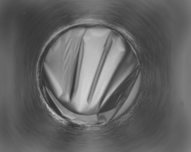 X0000082951430200702222301