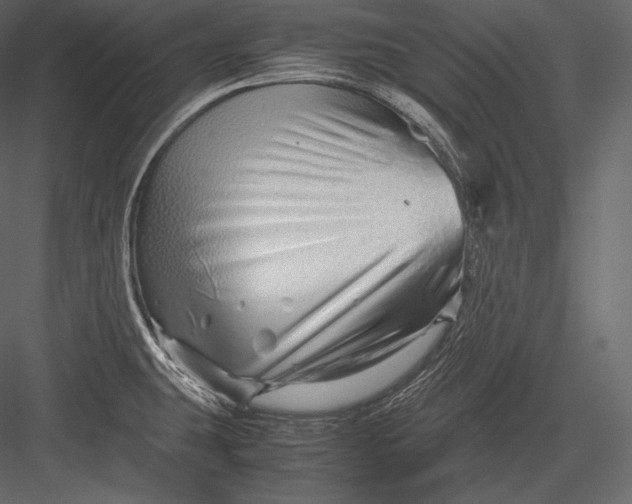 X0000082951431200702222301