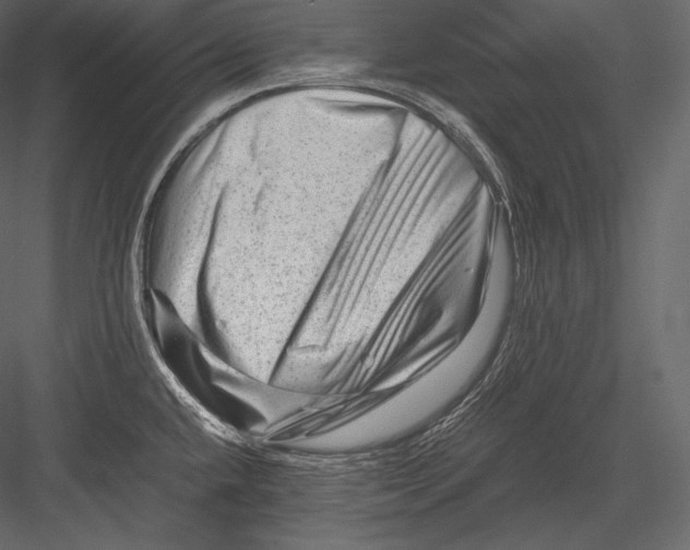 X0000082951432200702222301