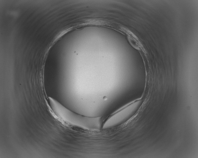 X0000082951433200702222301