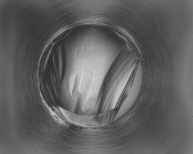 X0000082951434200702222301