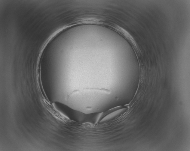 X0000082951435200702222301