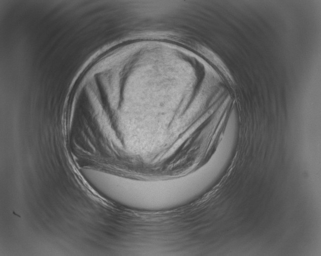 X0000082951436200702222301