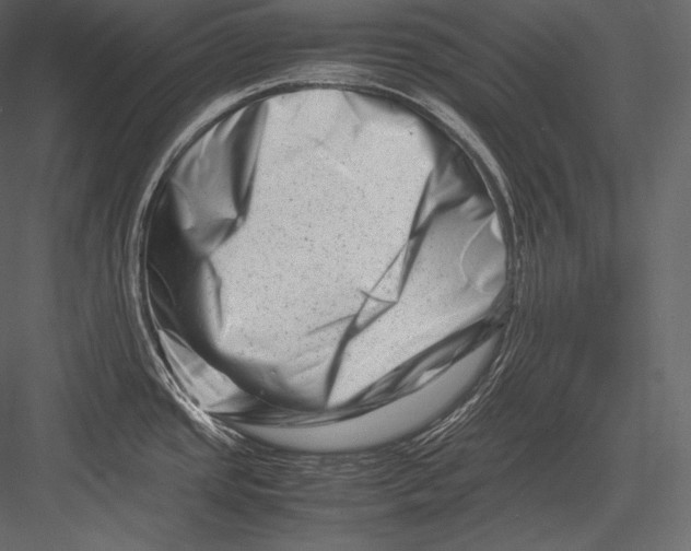 X0000082951437200702222301