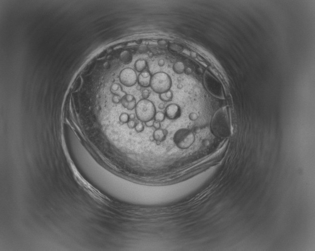 X0000082951439200702222301