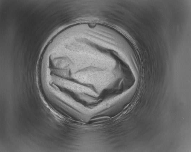 X0000082951440200702222301