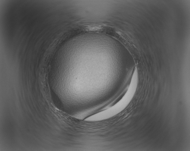 X0000082951441200702222301