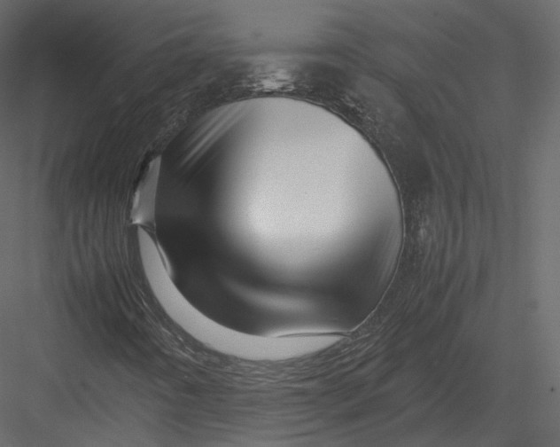 X0000082951442200702222301