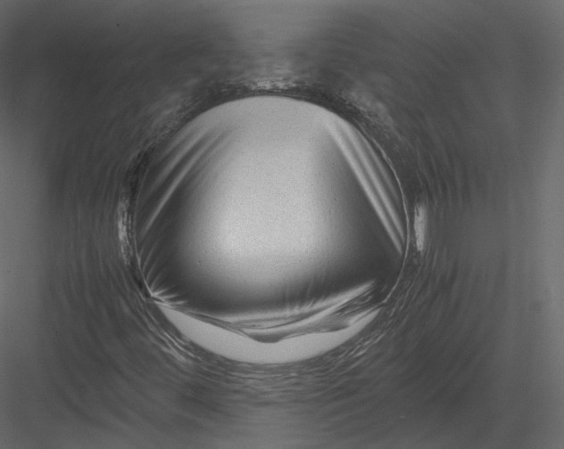 X0000082951444200702222301