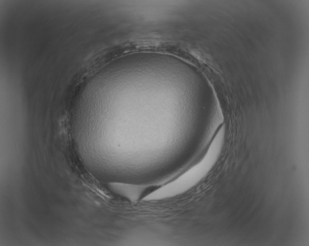 X0000082951445200702222301