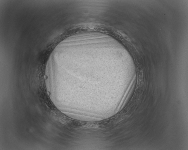 X0000082951446200702222301