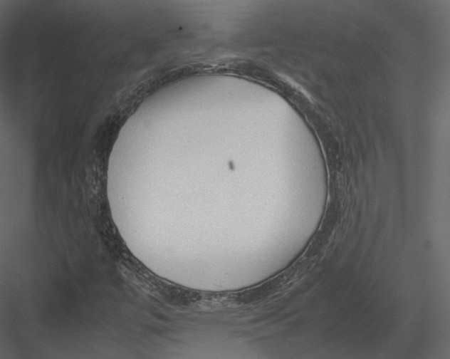 X0000082951447200702222300