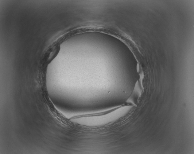 X0000082951448200702222300