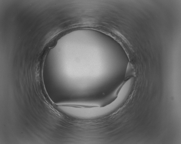 X0000082951450200702222300