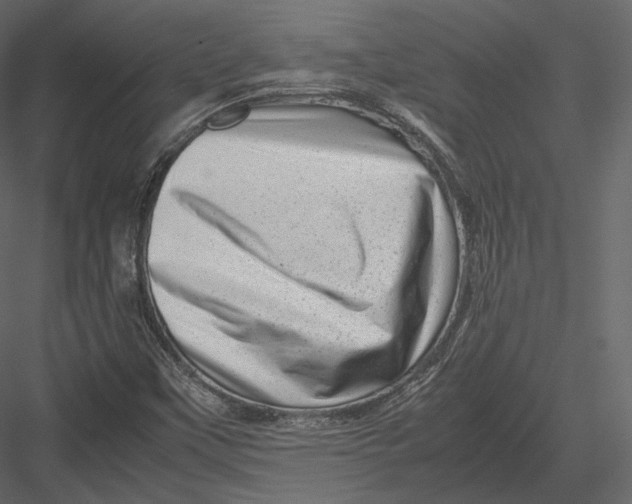 X0000082951451200702222300