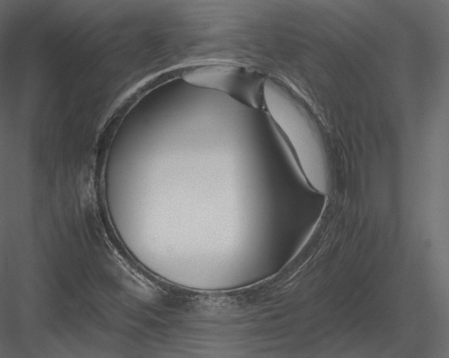 X0000082951452200702222300