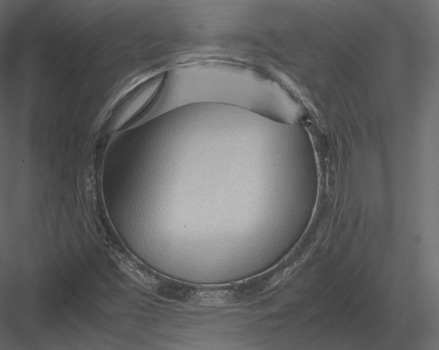 X0000082951453200702222300