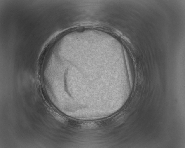 X0000082951454200702222300