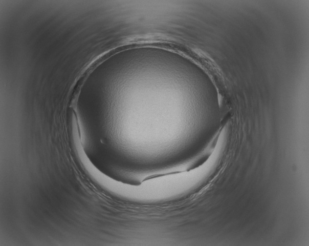 X0000082951457200702222300